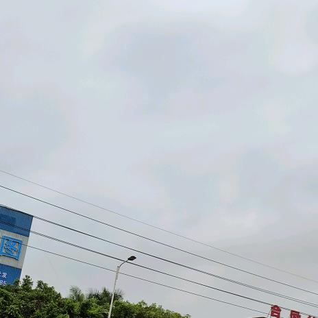 可悲布莱恩