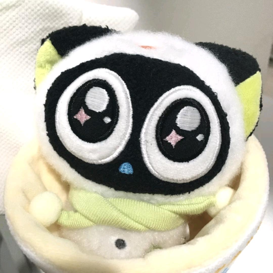 猫猫世界