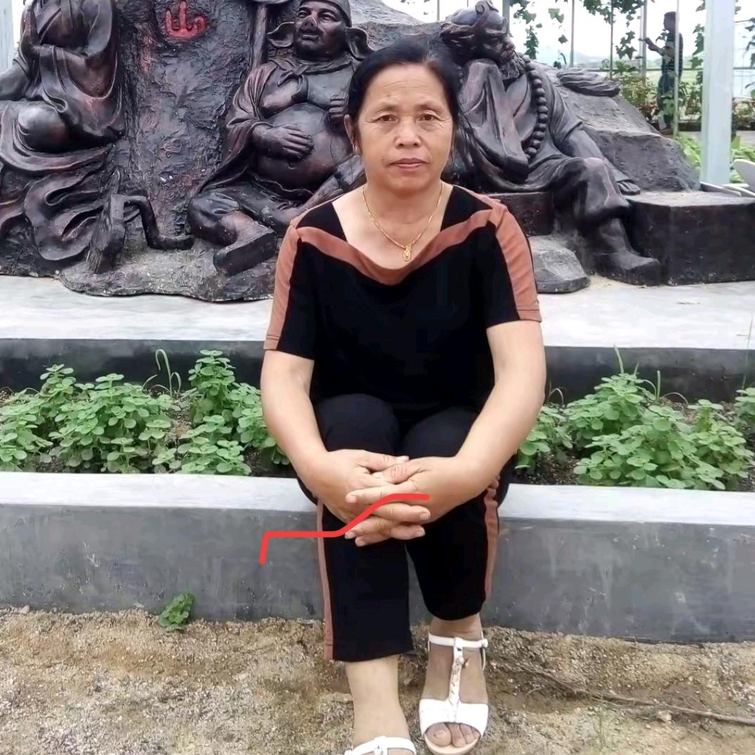 自由自在好运连连