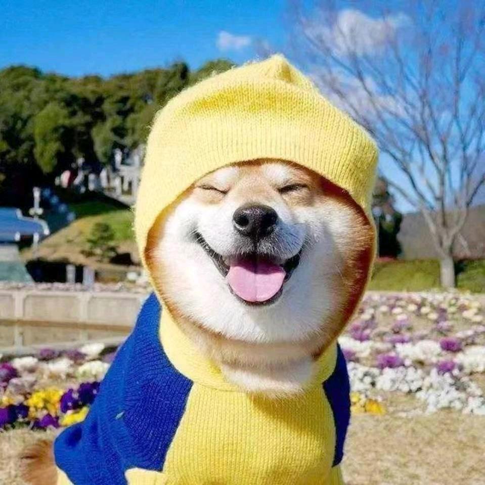 留心钓鱼