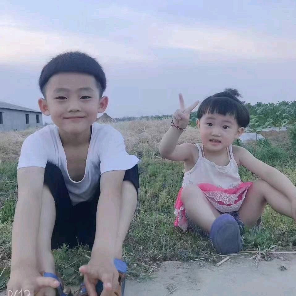 兰花草