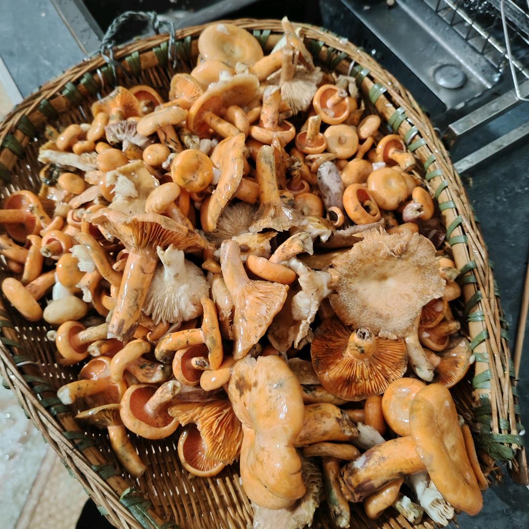 没有烦恼的糖宝宝