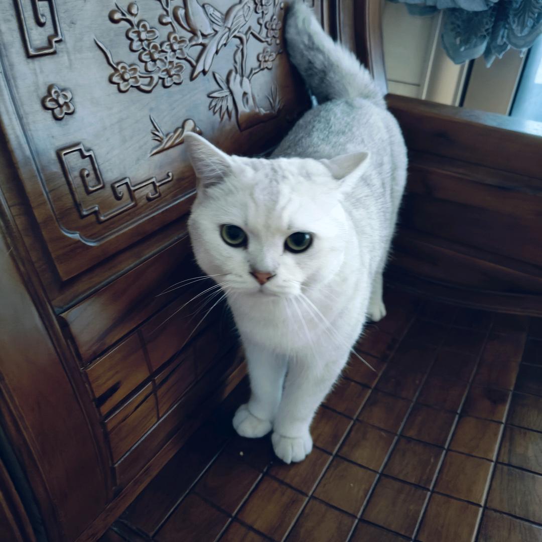 男哥哥