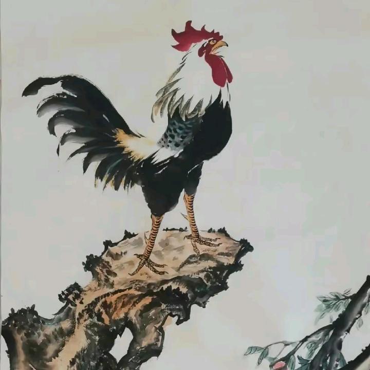 不会飞的笨鸟