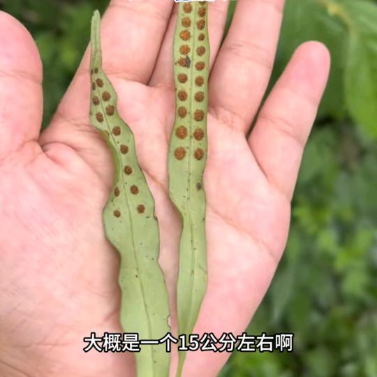 谁是我