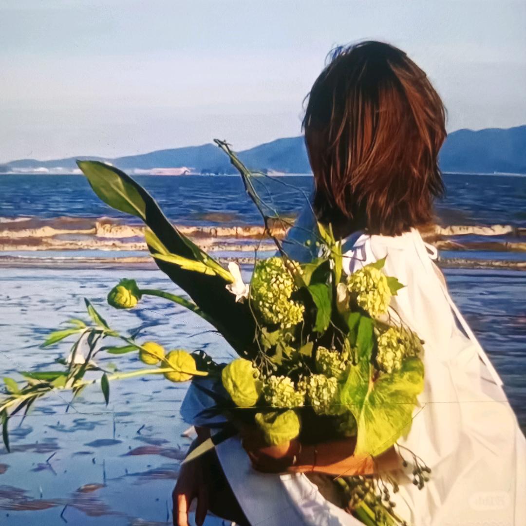 顺其自然9720555201330