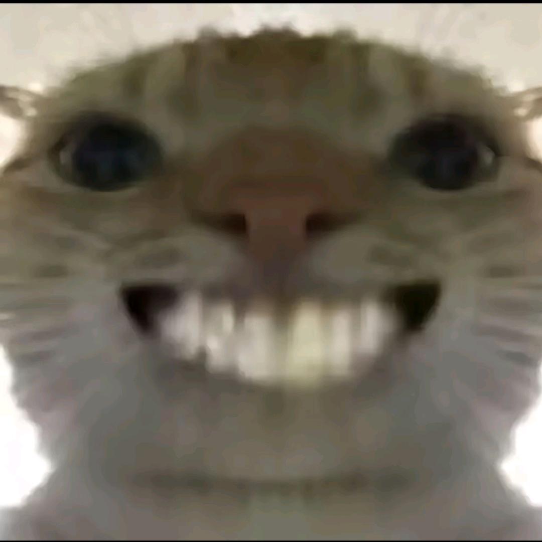 贵州最后一位鼠鼠