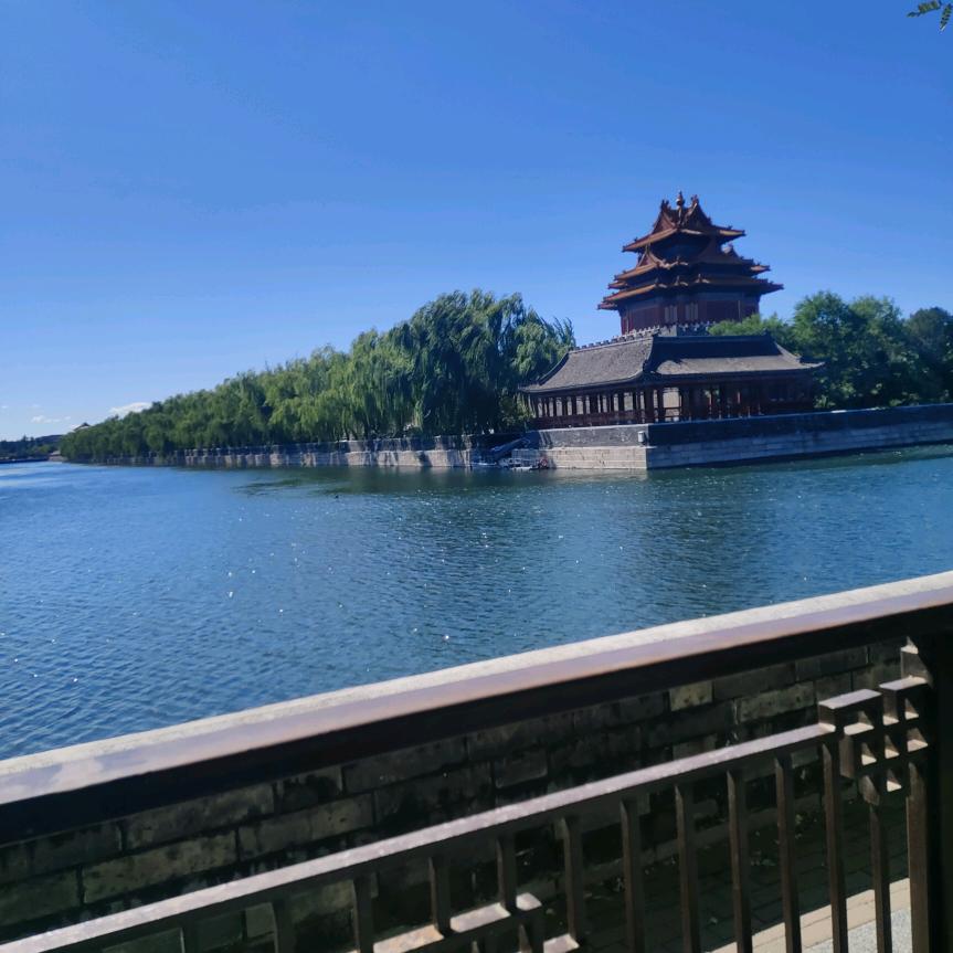 努力为明天