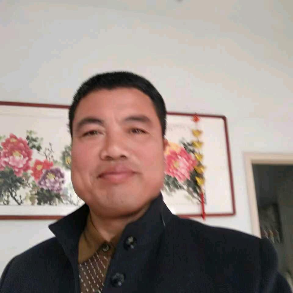 金蝉哥