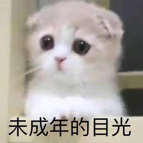 单纯的四季