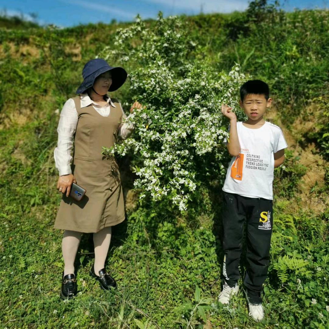 刘海燕