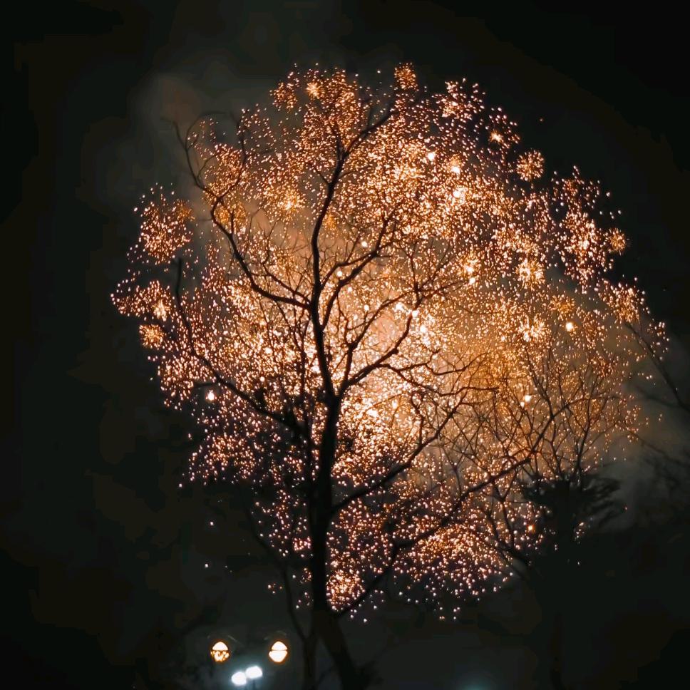 偶尔想笑（流浪版）