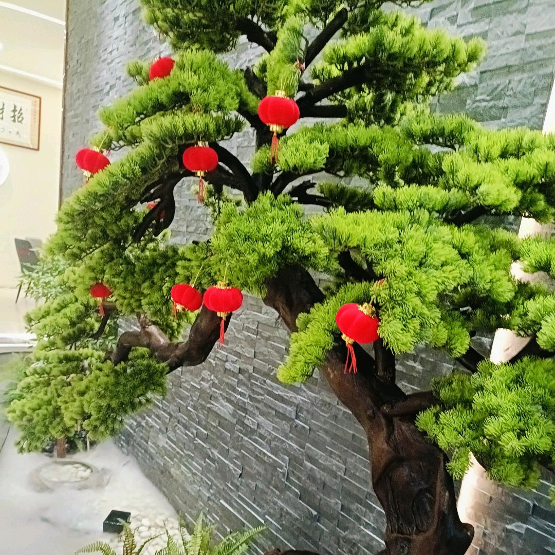 冉姐姐