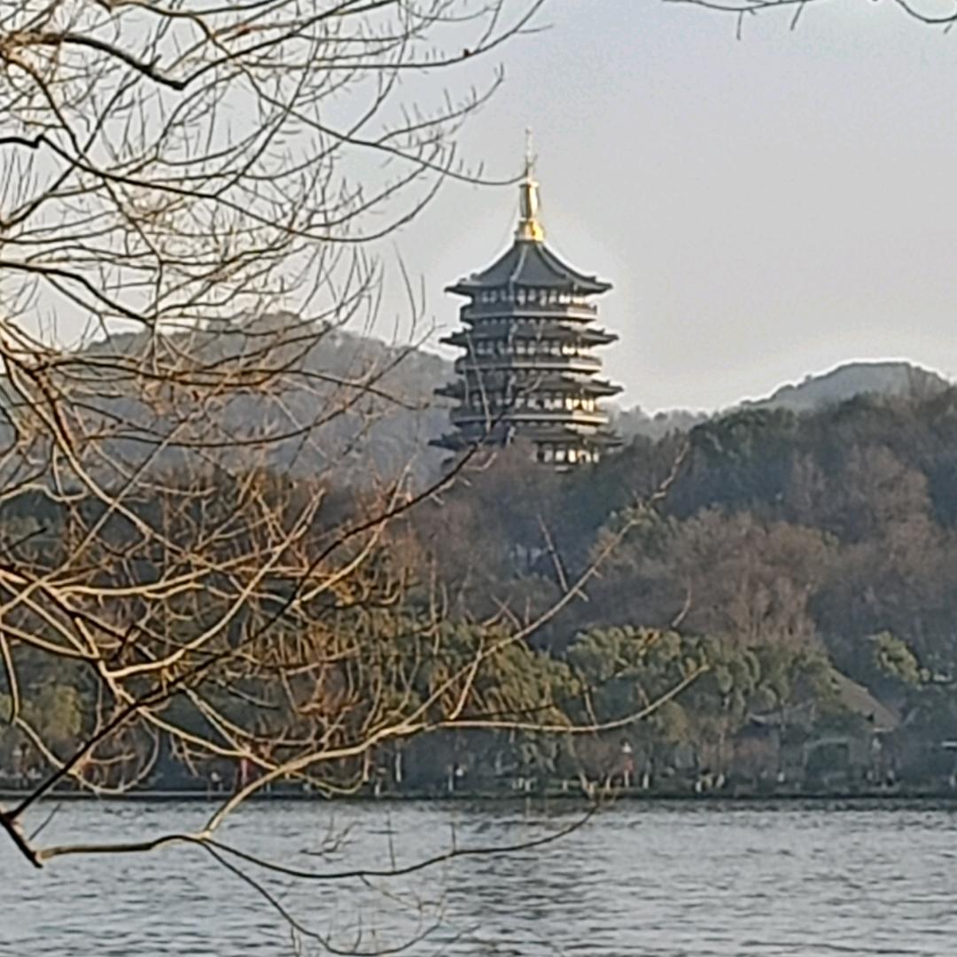 一王情深