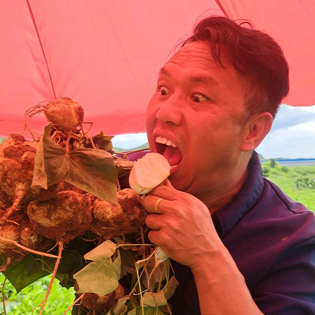 张白痴《枪王》