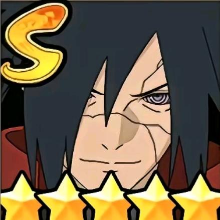 在东南亚打猫猫拳