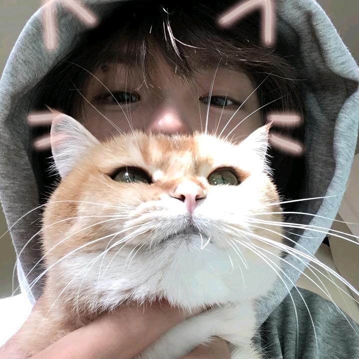陆霆骁