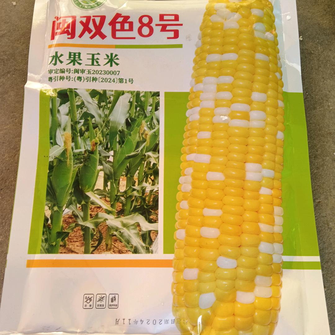 爱情公寓