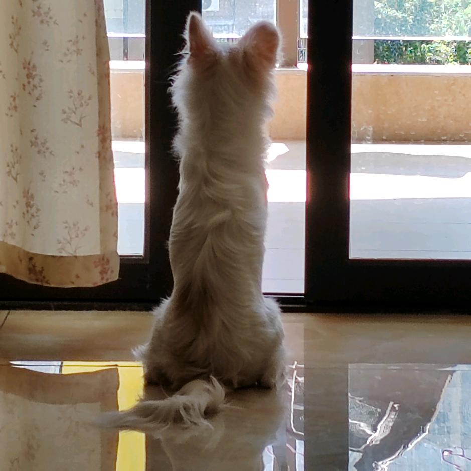 这是一个养生号