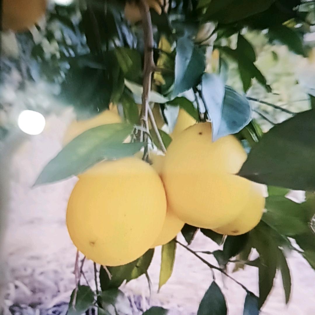 谈笑风云