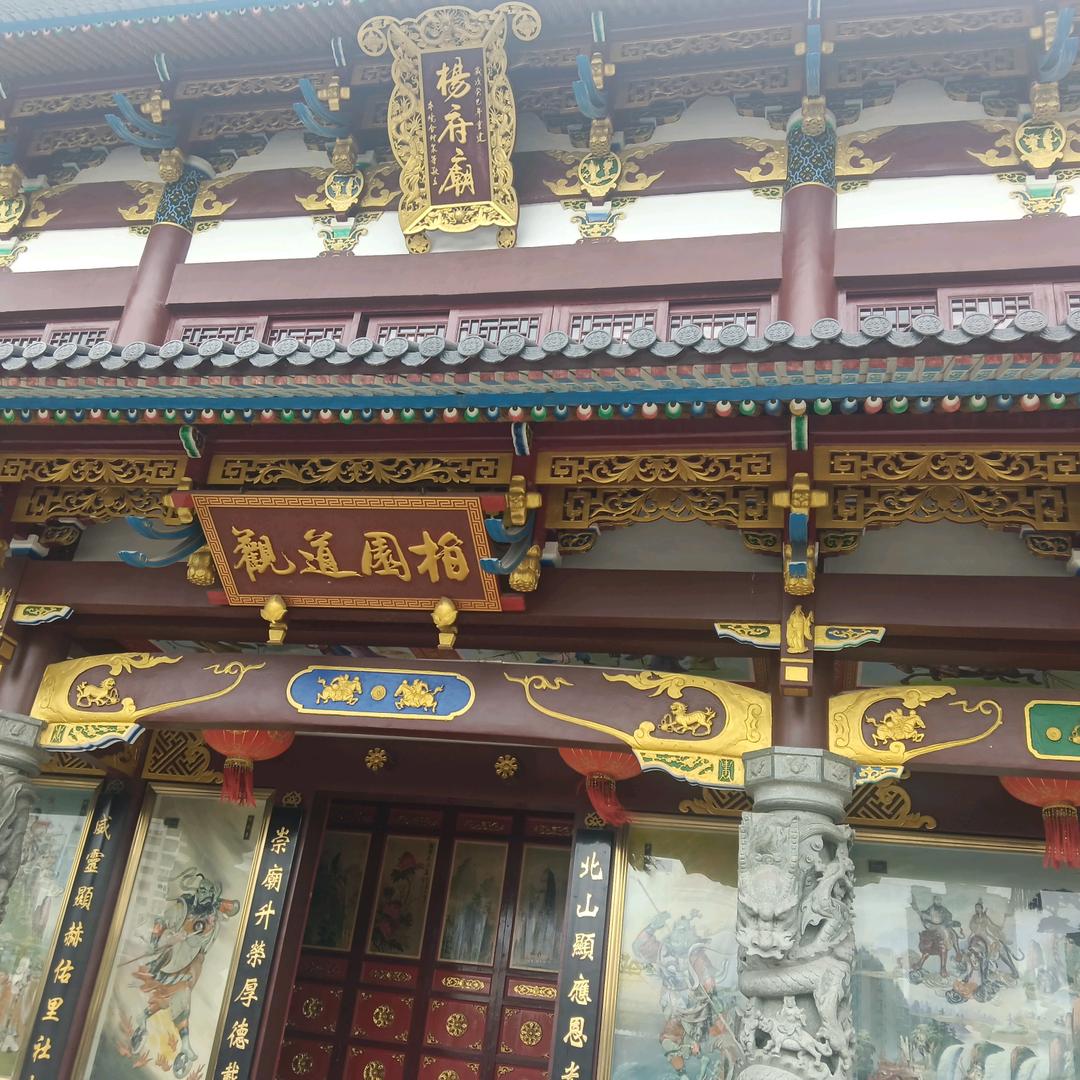 思路清晰未来可期