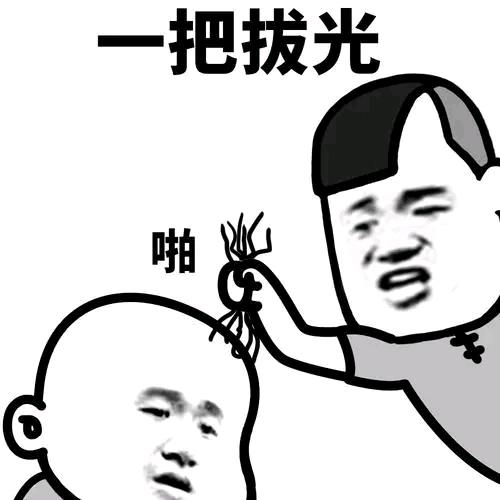 四季豆。