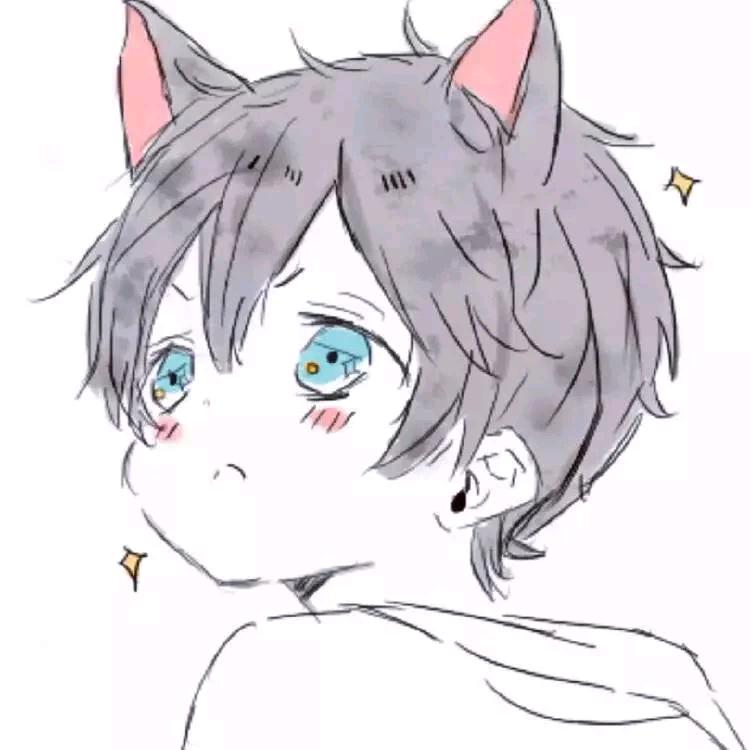 Stars星辰✨