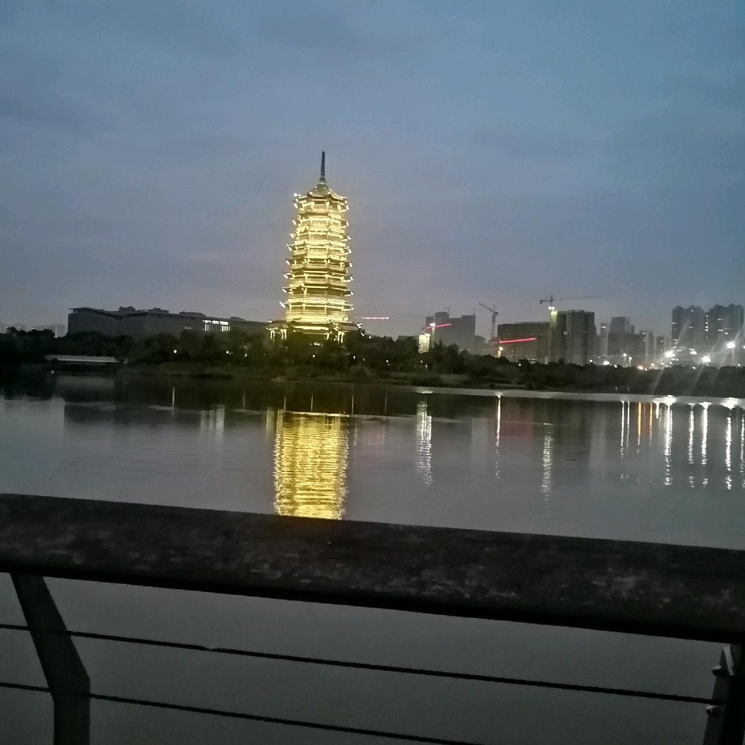 龙东冠