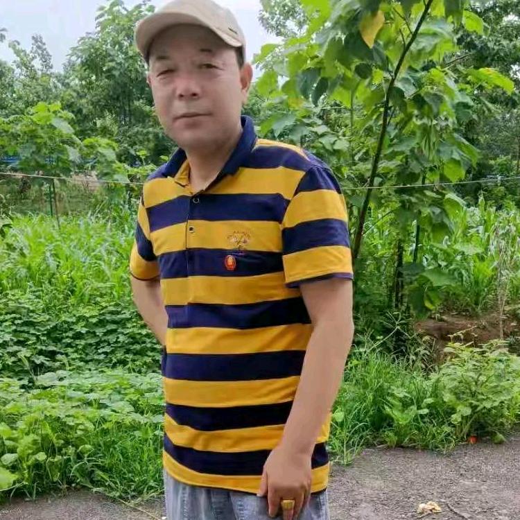 武道传承人孟小冉头像