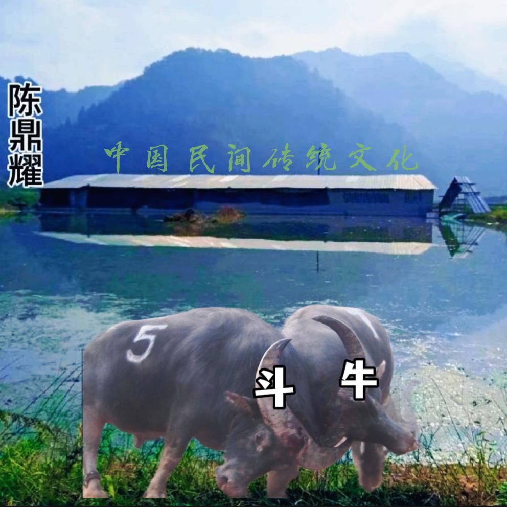 鼎耀🐲斗牛影视