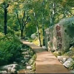 酷热短剧