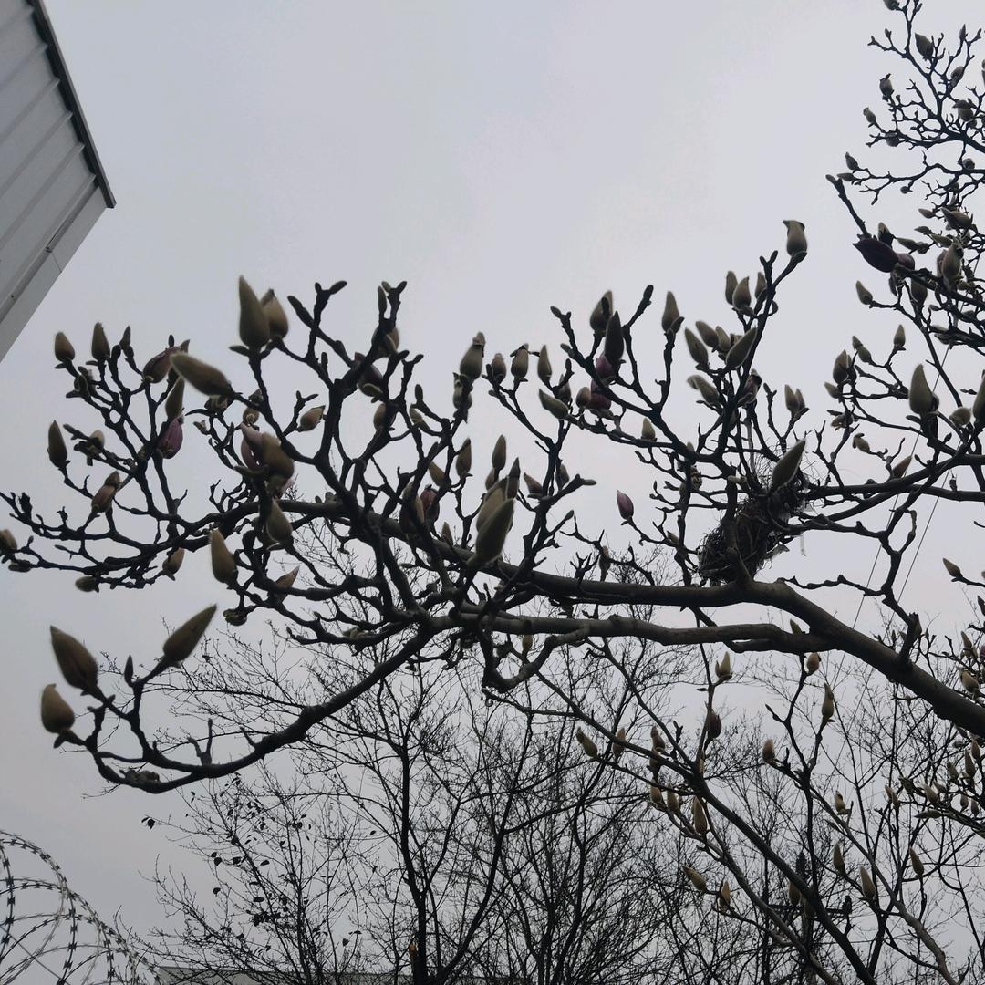 清晨阳光