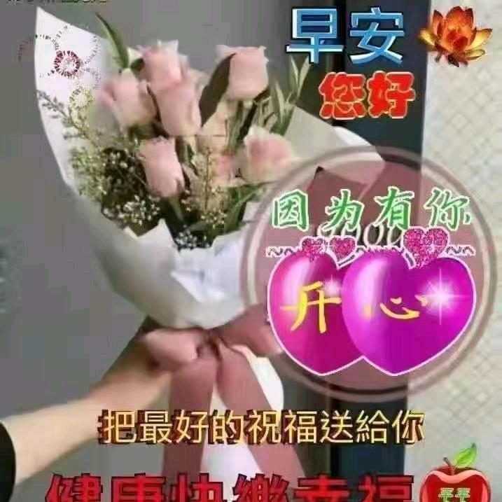简单就好