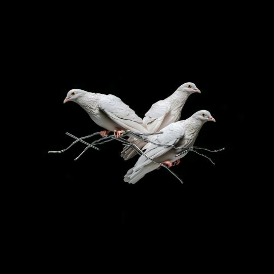 明爵网络工作室