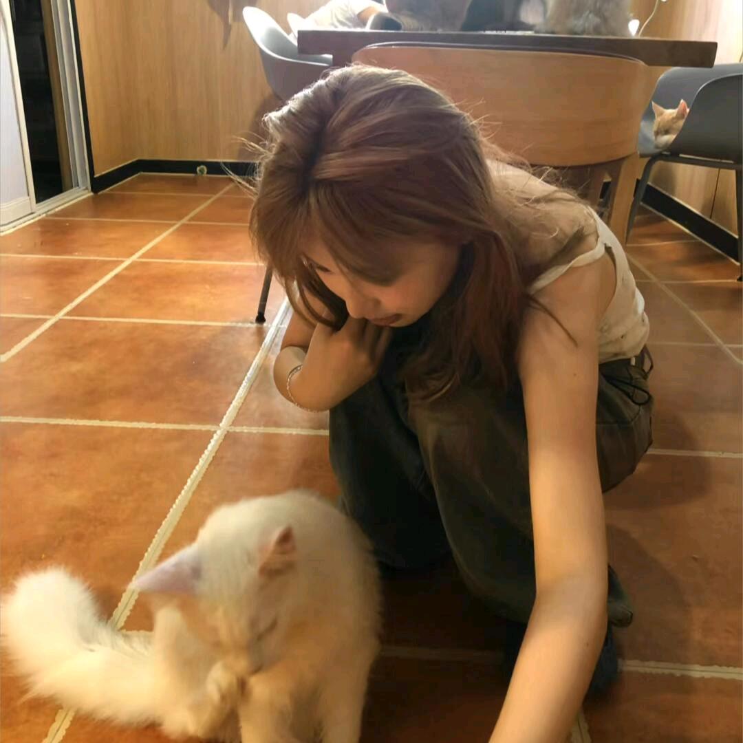 小绿毛