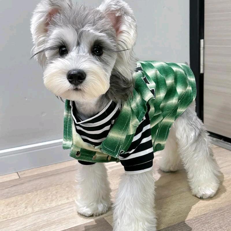 熙熙诺诺11