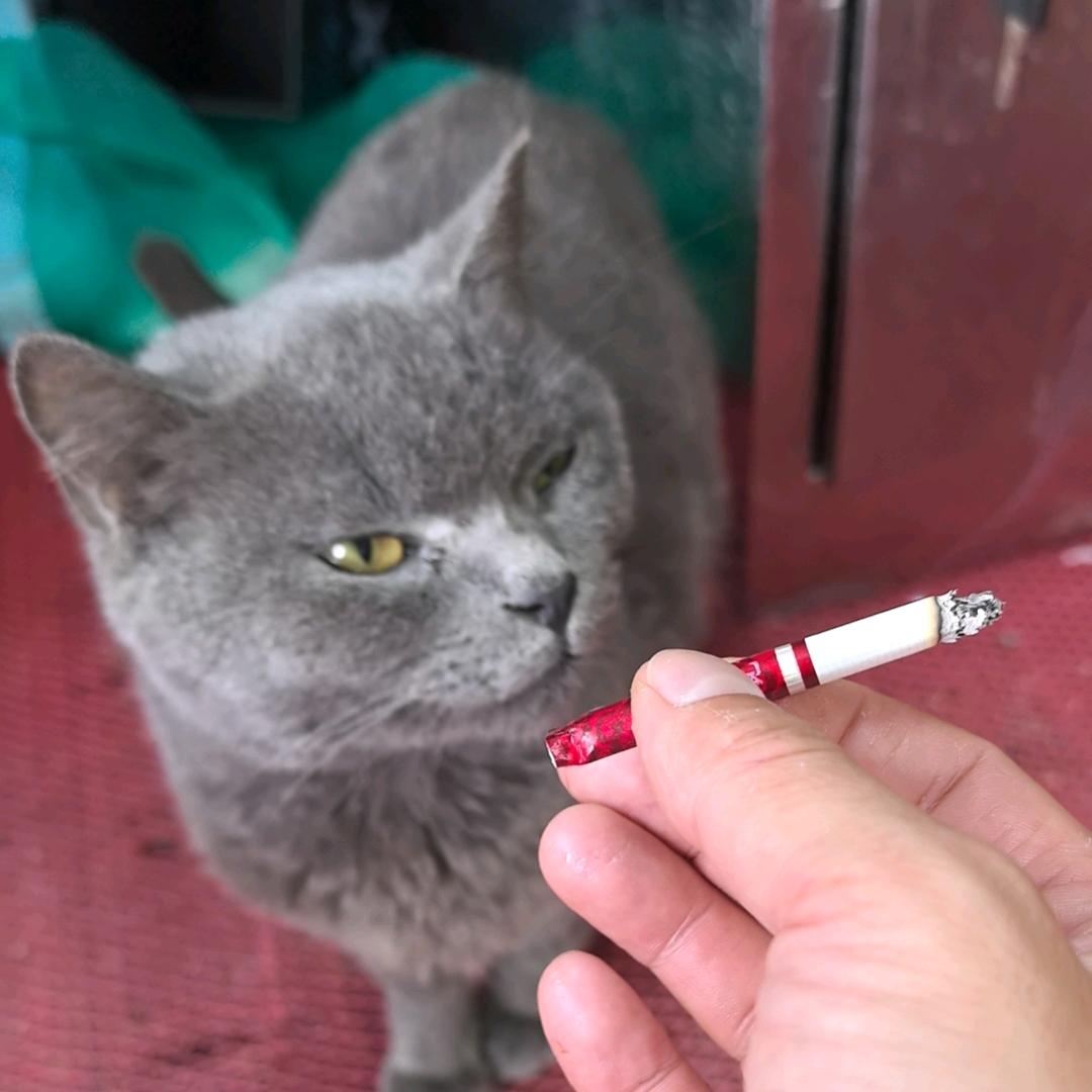 我爱发誓