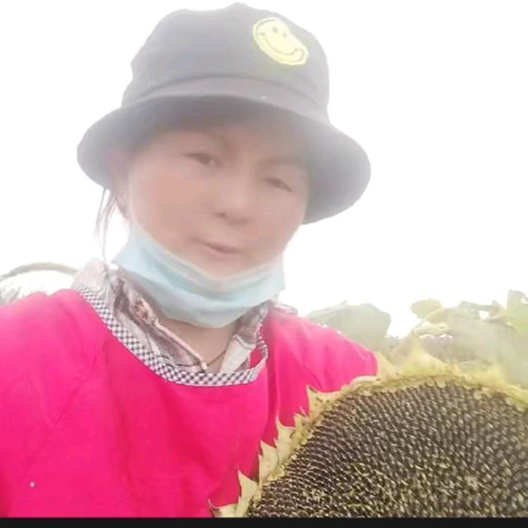 樱桃姐姐