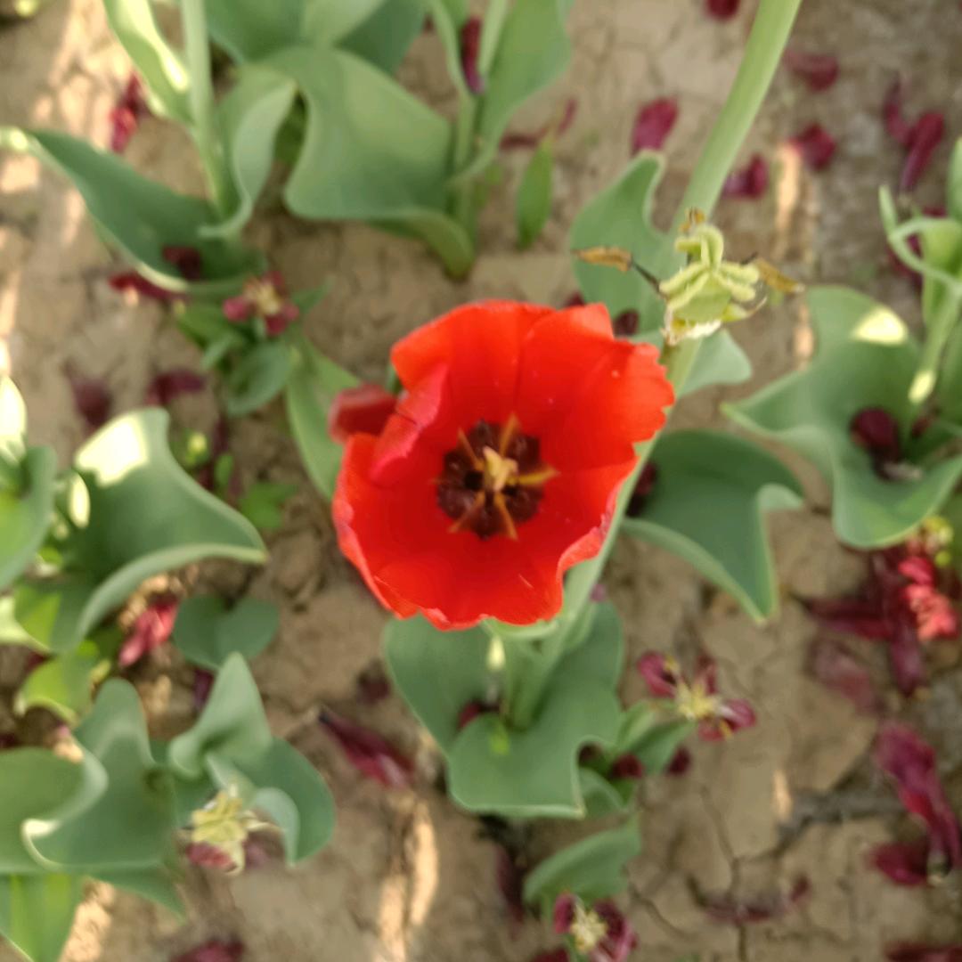 福鑫五金成都琉娴惟商贸有限公司推广号