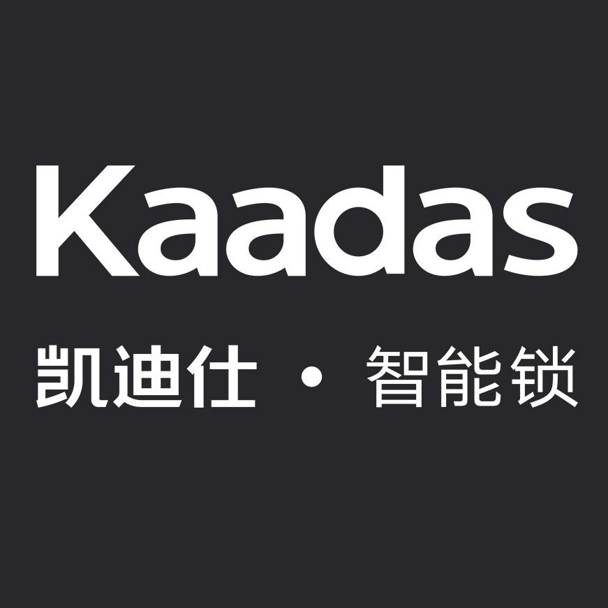 凯迪仕智能锁（阆中锦绣城店）