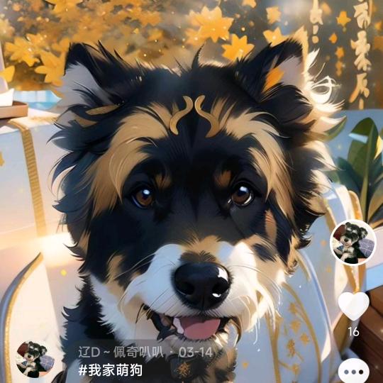 @龙哥73