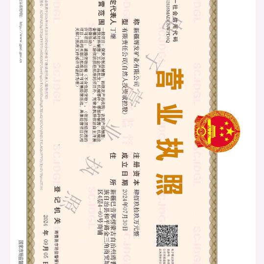 新疆辉发矿业有限公司