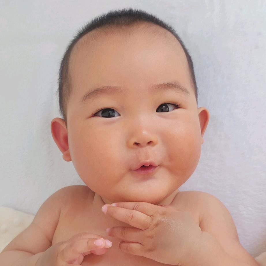 范团团吖🍙