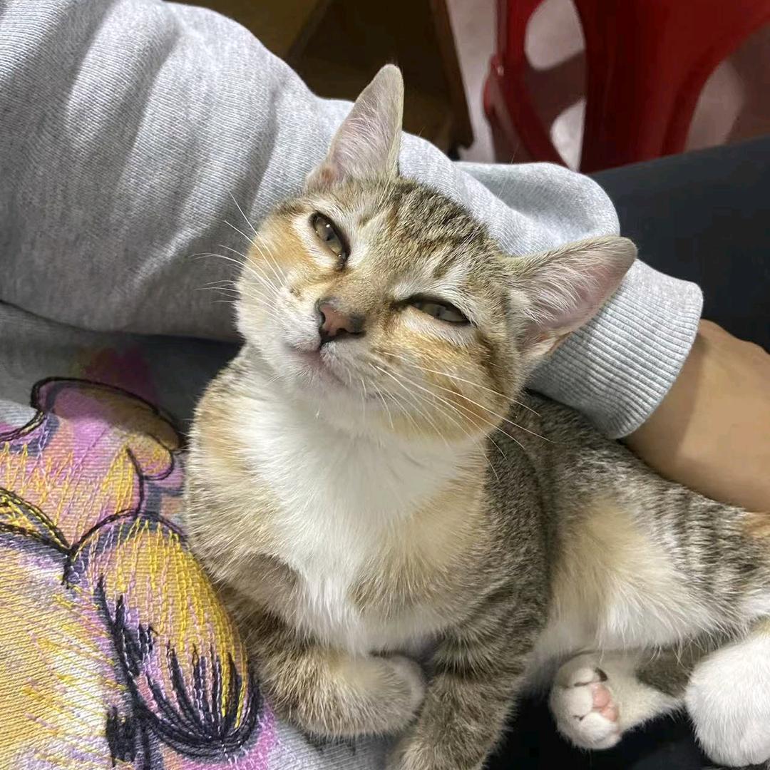 暖暖吖