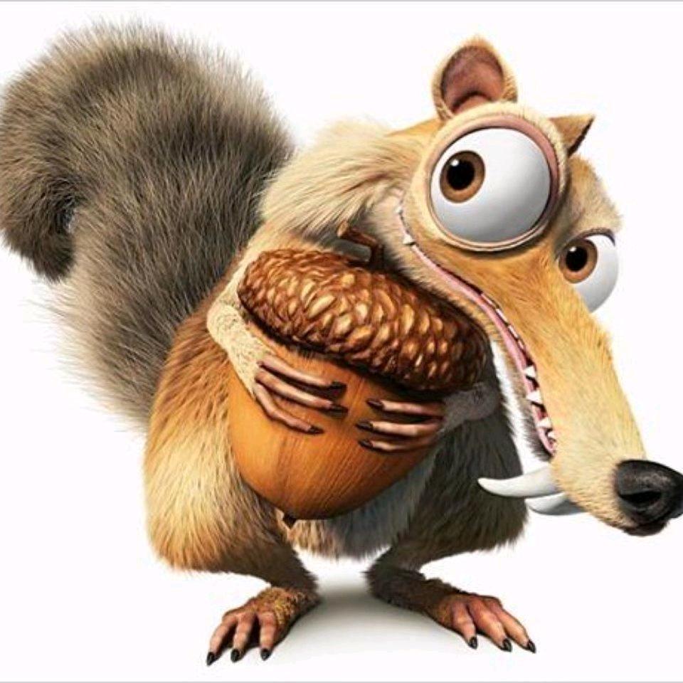 .........