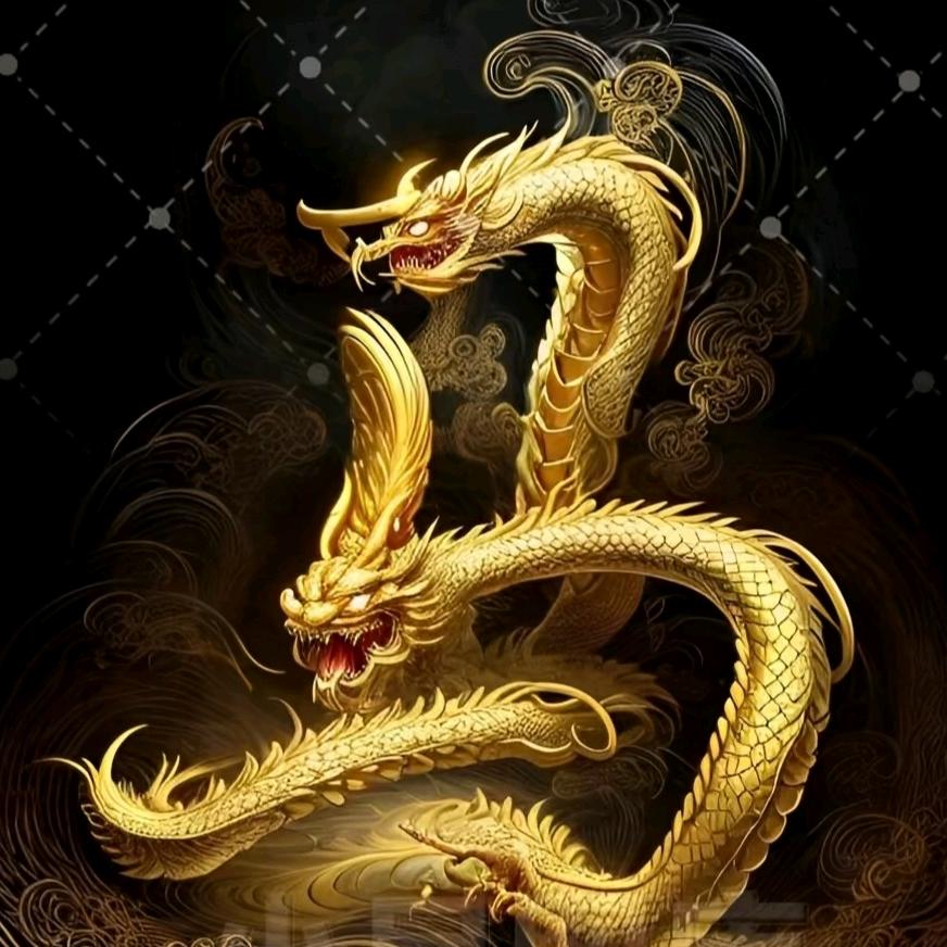 慧慧