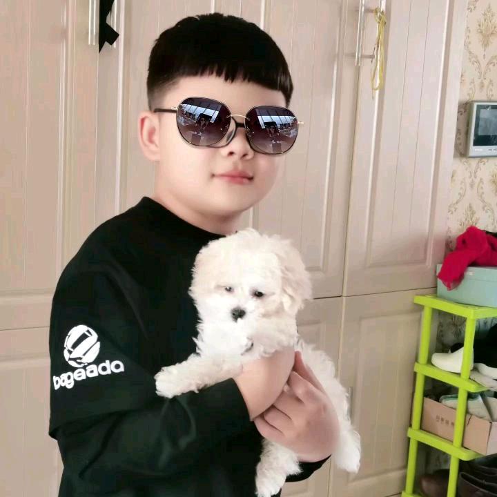 狮龙666