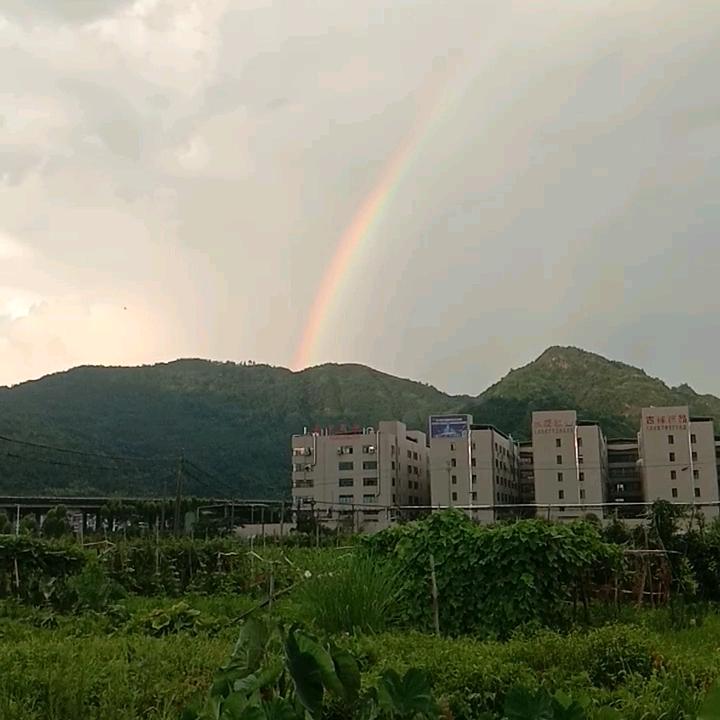 昼眠听雨