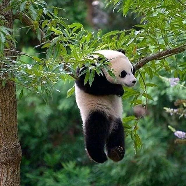钟无艳