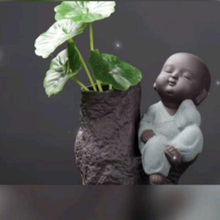 净心观世界